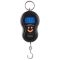 Кантер 603L, 50 кг (10г)